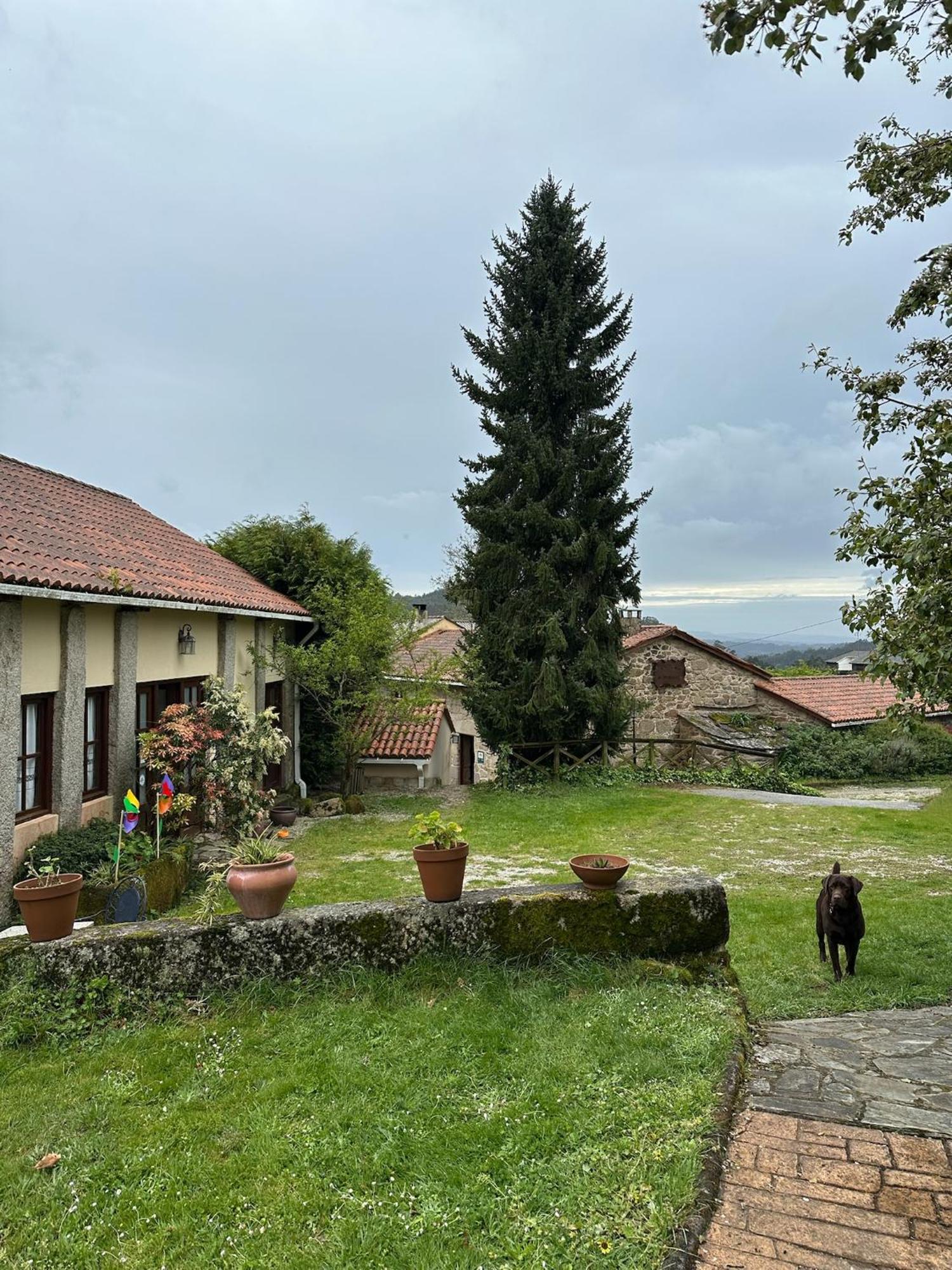 Casa Rural A Cobacha Paderne Екстер'єр фото